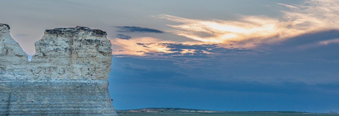 LuckyBug Photography