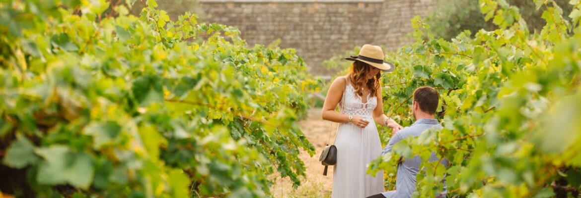 Stephanie Hopkins Photography
