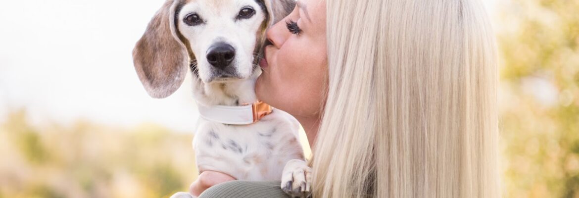 Pet Charm Photography