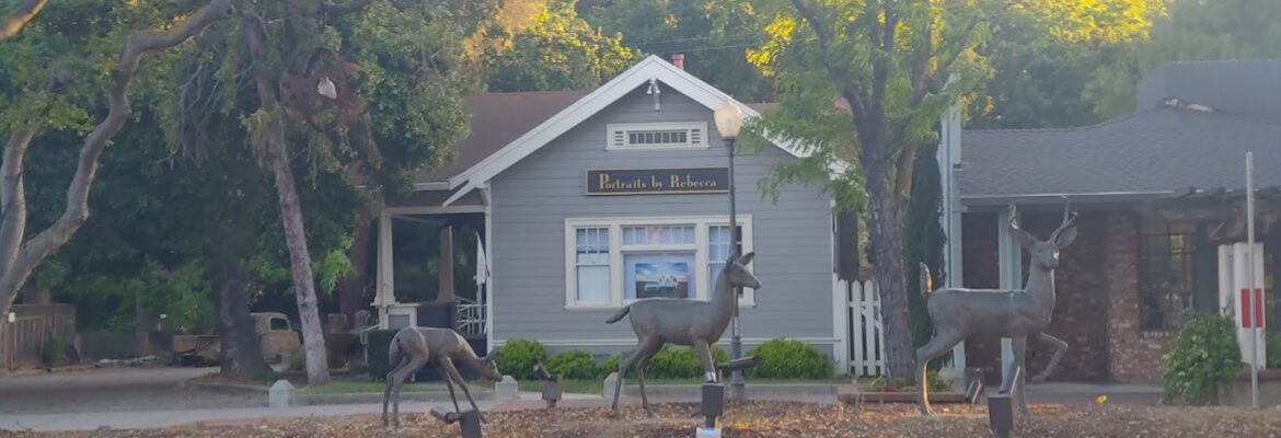 Portraits By Rebecca