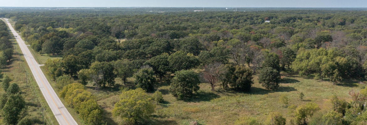 Marcus Edwards Photography