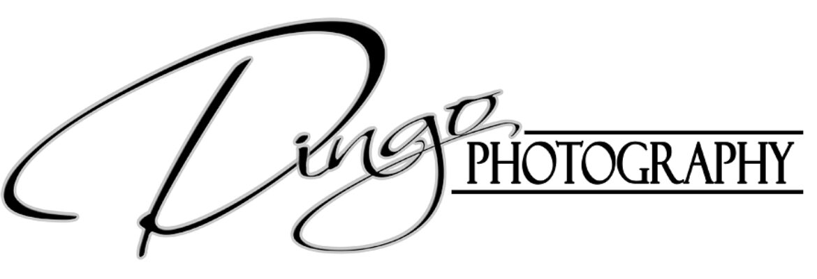 Dingo Photography & Imaging