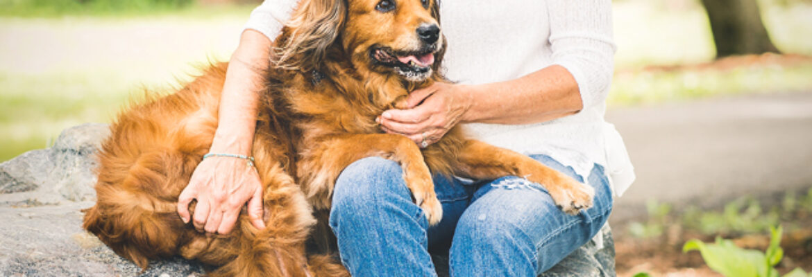Stephanie Photography ~ Family & Pet Photographer
