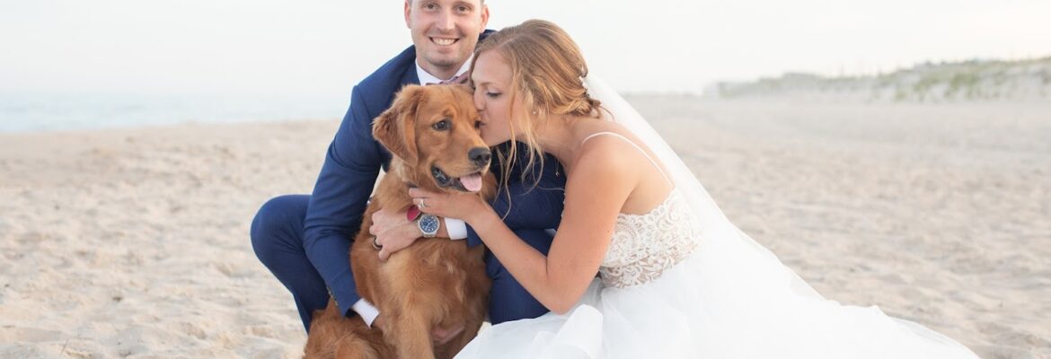 Susan Hennessey Photography