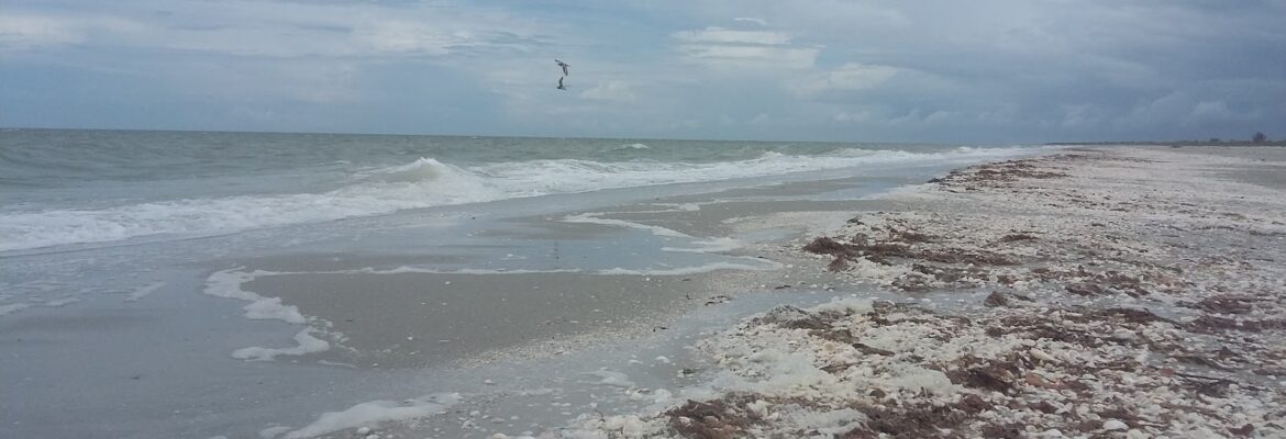 Milissa Sprecher Photography