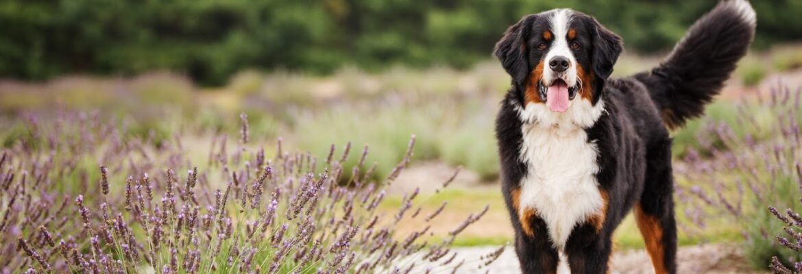 Kathryn Schauer Photography