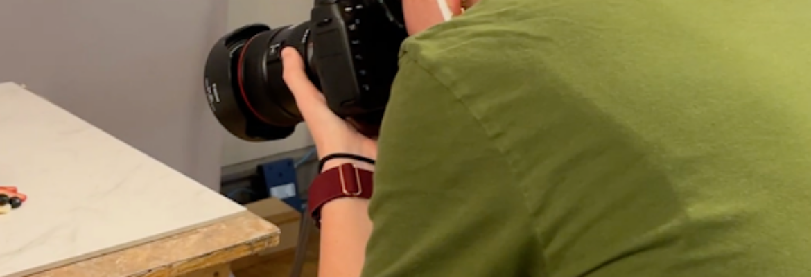 Blue Cardinal Photography