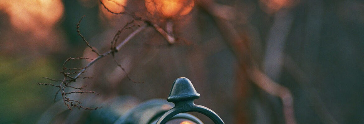 Terra Altus Photo Services