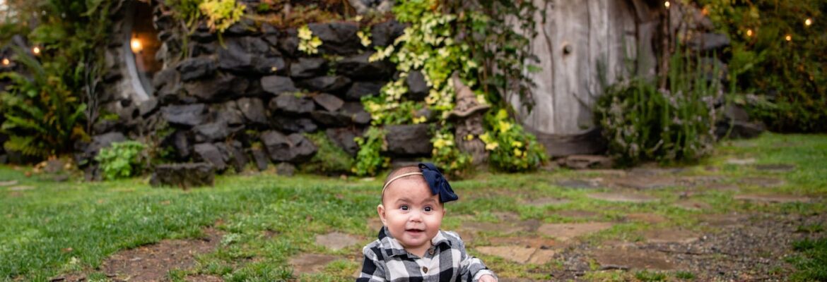 Liquid Sunshine Photography