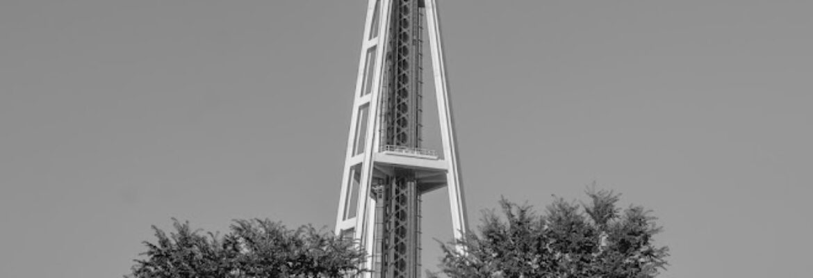 Moonflowers Photography