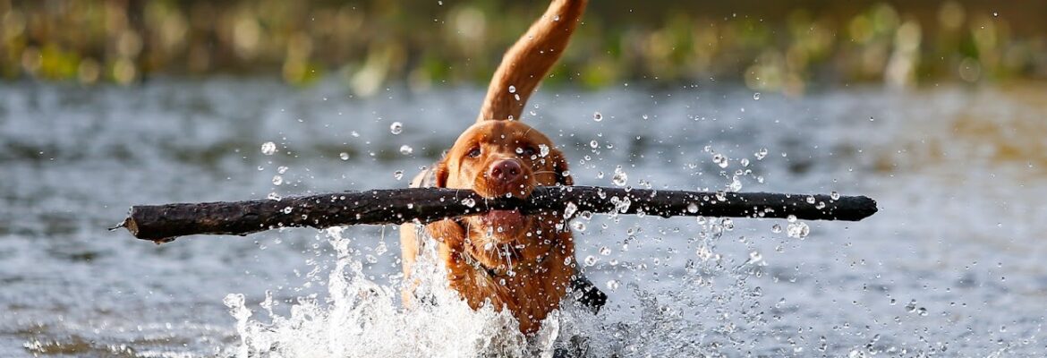 Walter J. Cronk Photography