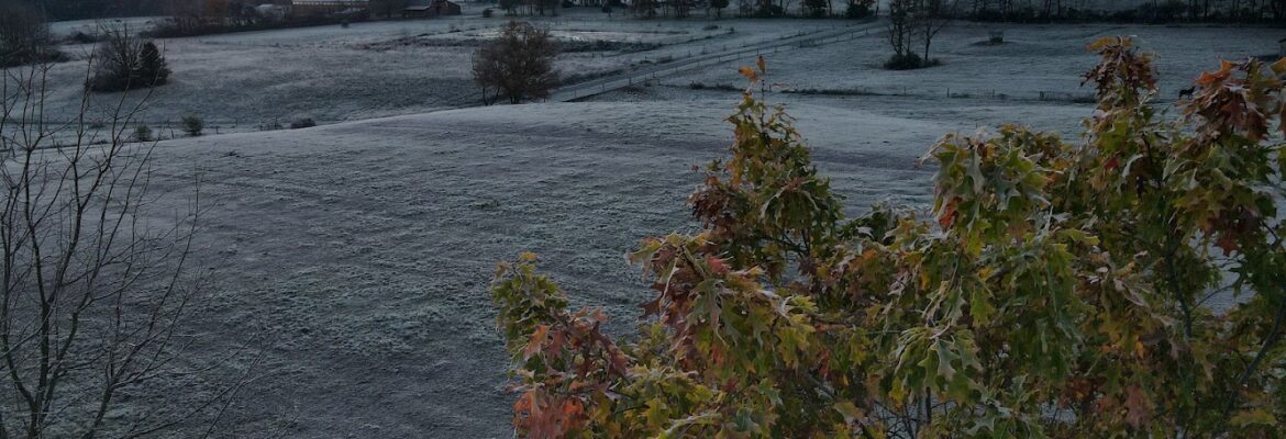 On the Fly Aerial Imagery