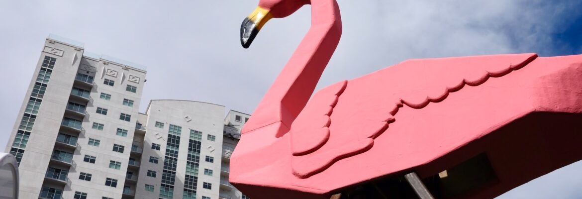 Craig Morrison Photography