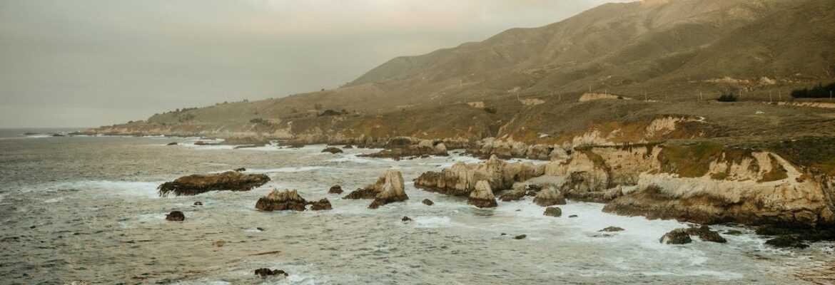 Halley Vernon Photography