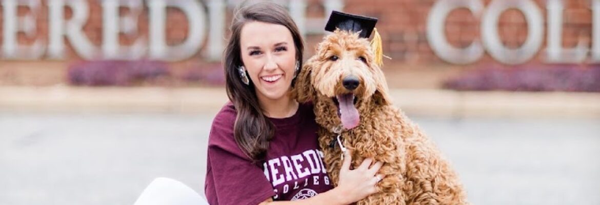 Cooks Photo and Film