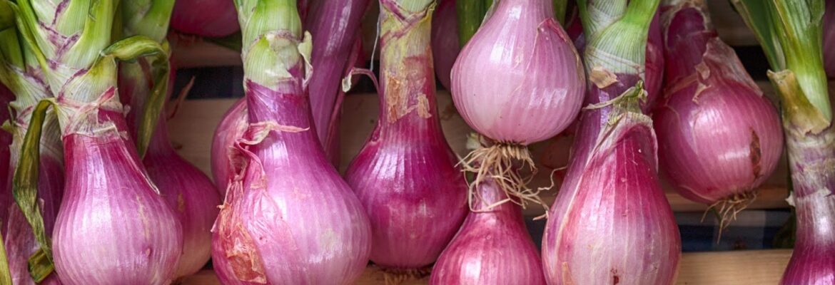 John DiRoma Photography