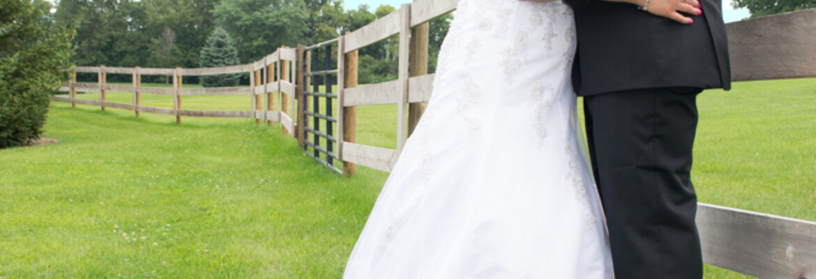 Crimson Leaves Photography