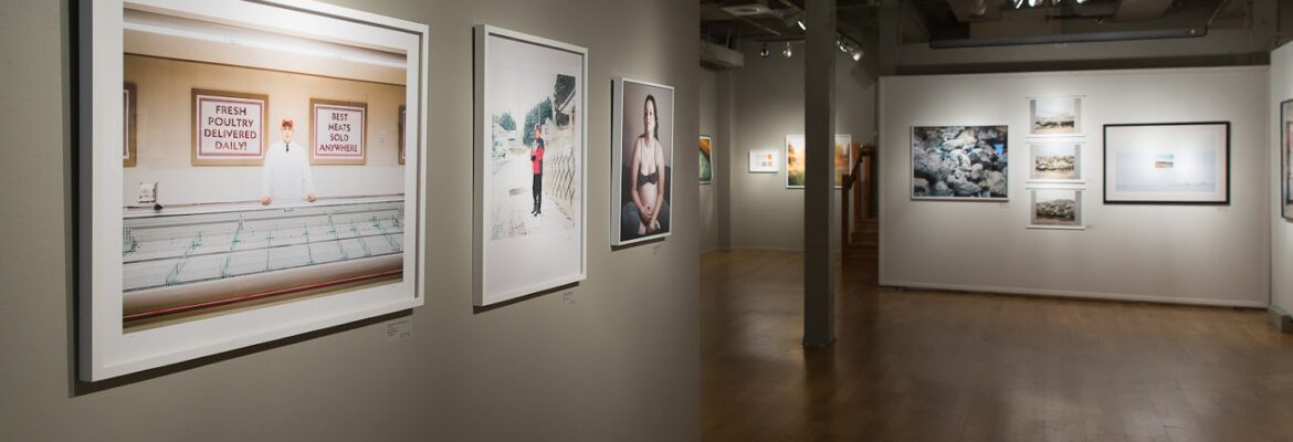 M. P. Hogan Photography LLC