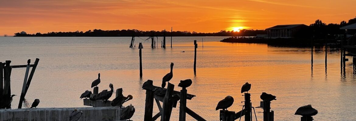 Bernie’s Photography