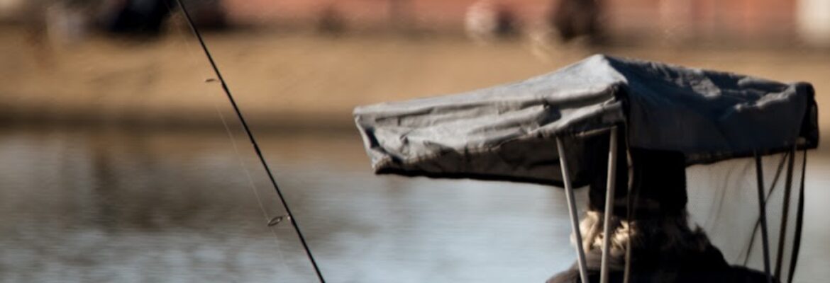 Joy Elise Photography