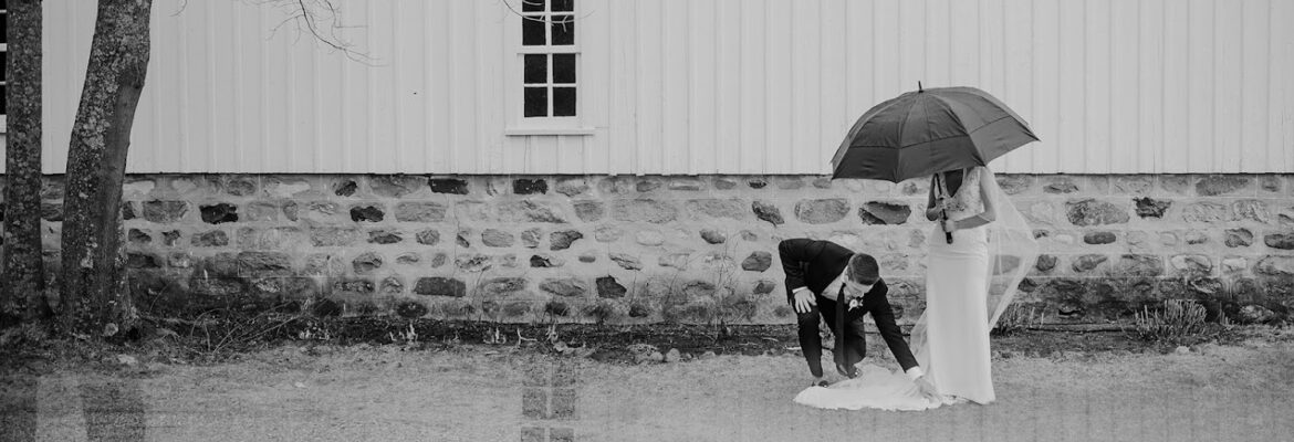 Meg Van Kampen Studios