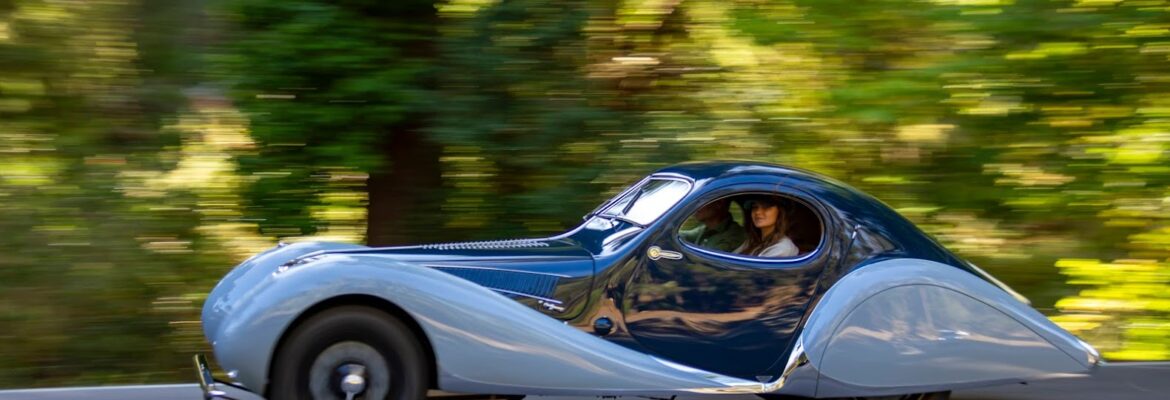 Monterey Bay Photo Tours