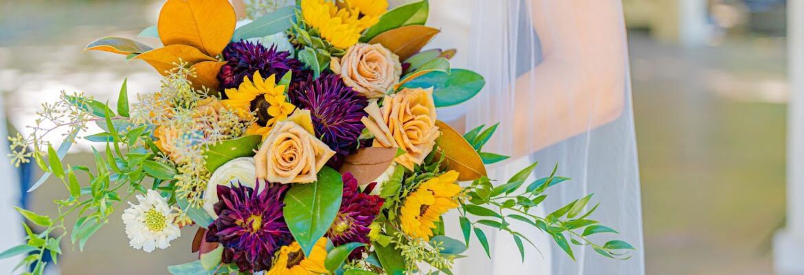 Willow Smith Photography