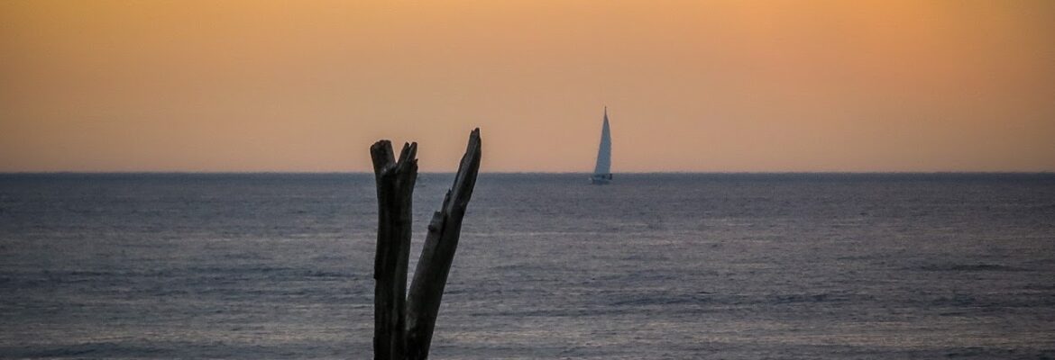 jh design & photography