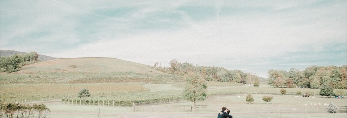 Amanda Adams Photography, LLC