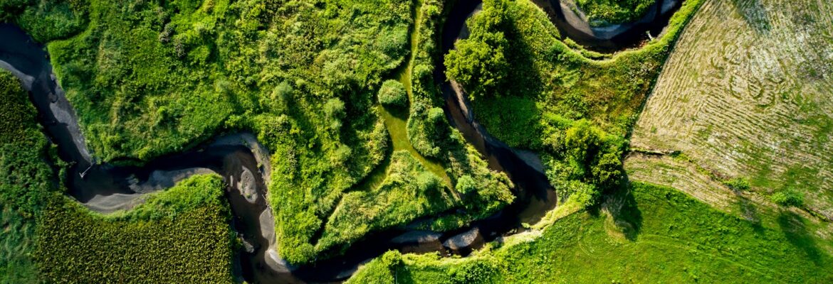 Ivar Bastress Photography