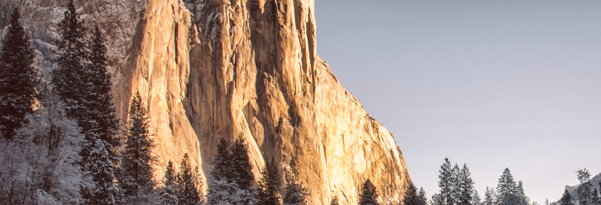 Pacific Expressions Photography