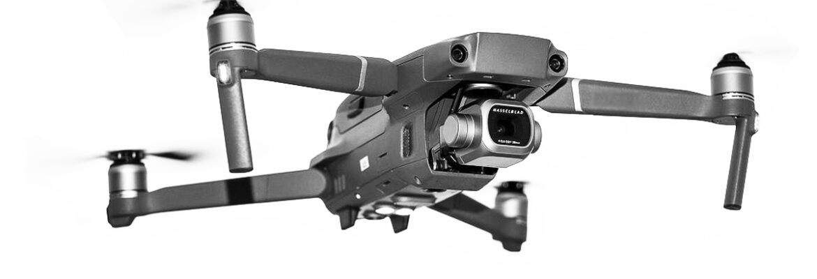 Birdlike Drone Solutions