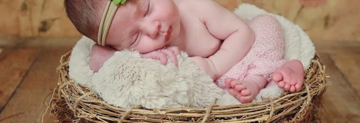 Noel Cox Photography