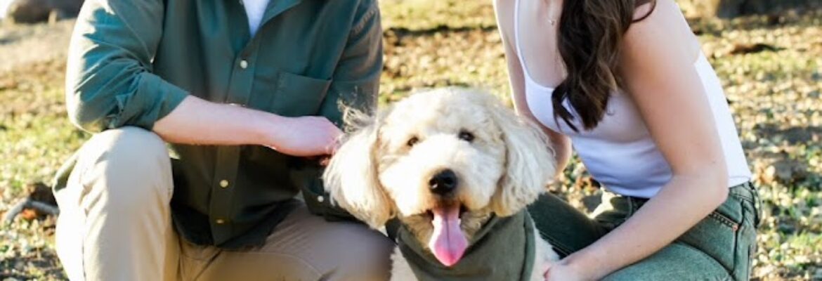 Cyntia Apps Photography