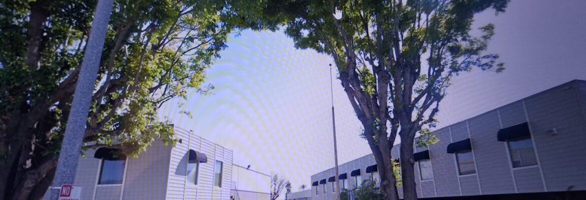 Angelika’s Photography