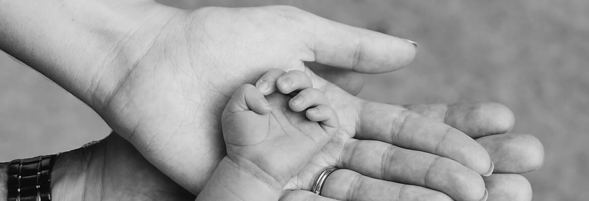 Jennifer Price Photography