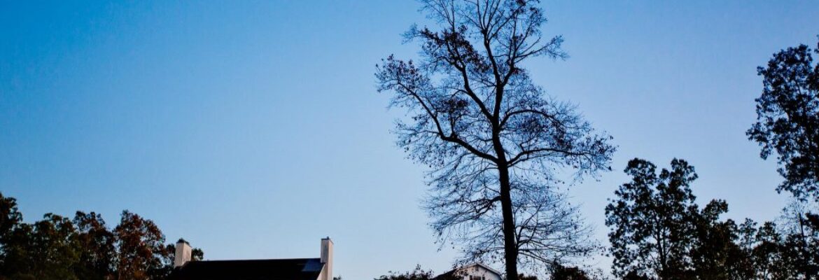 WOOD & SMITH Photography