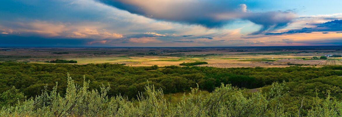 James Bondly Photography