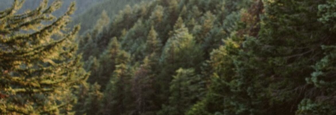 Daron Jackson Photography