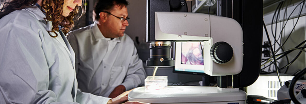 Brian Goodman – Photographer