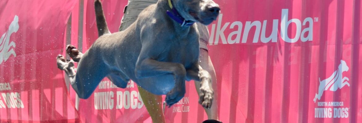 Tonya Montgomery Photography