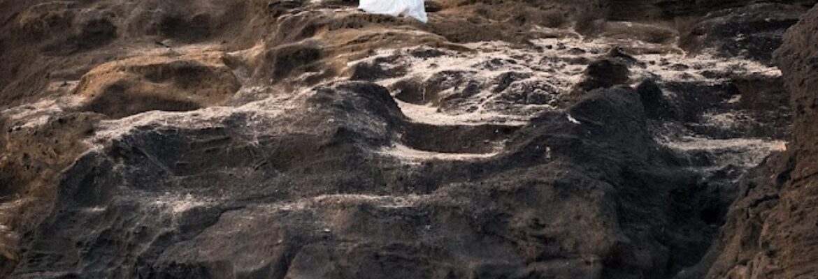 Kole & Camera Photographs