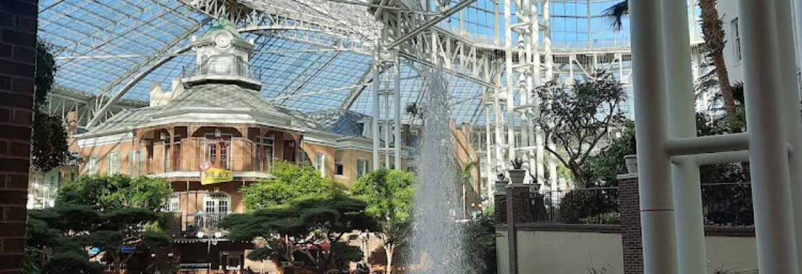 Digital Age Travel Professionals