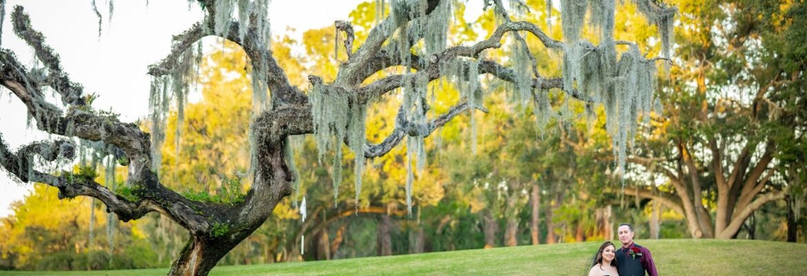 A Stewart Photo & Video