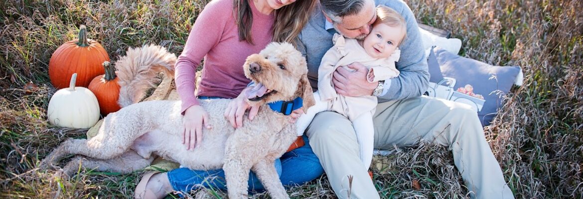 Baby Love Photography