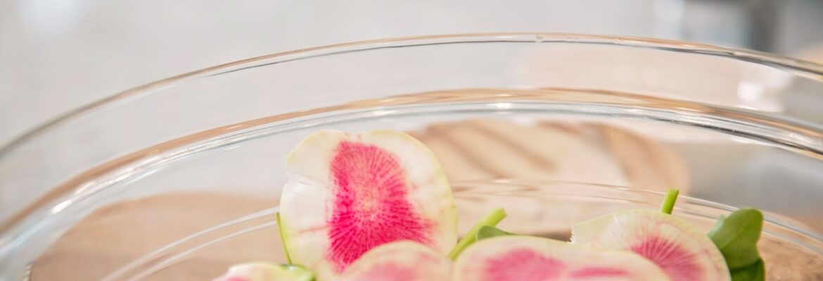 Lauren Britz Photography