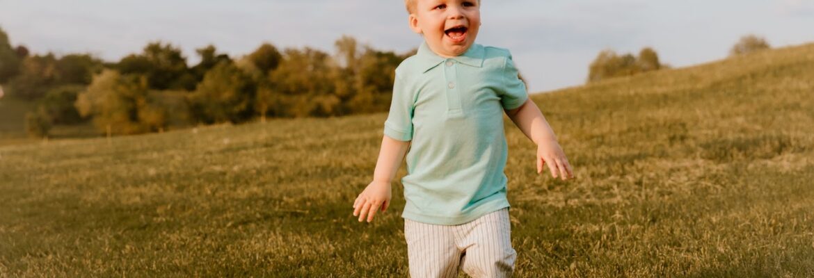 Stephanie Vision & Design Co.