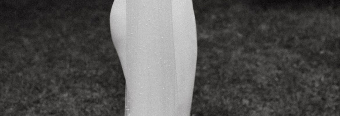 N. Mickle Photography