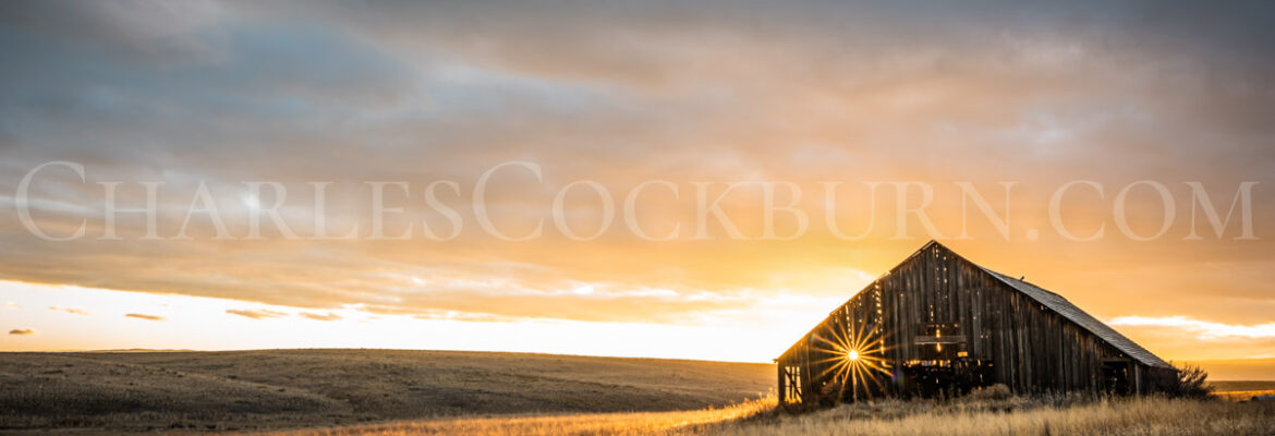 Charles Cockburn Photography