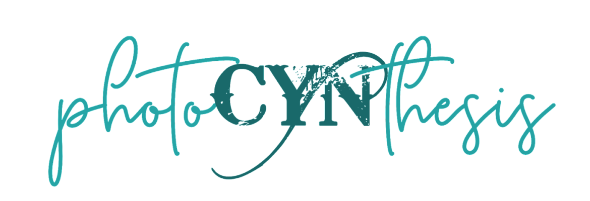 photoCYNthesis